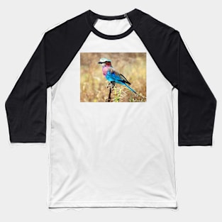 Lilac Breasted Roller, Serengeti, Tanzania Baseball T-Shirt